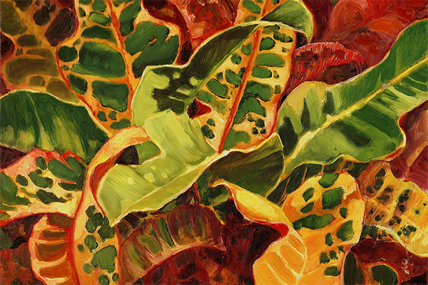 Fiesta - sold, Available as paper or canvas print